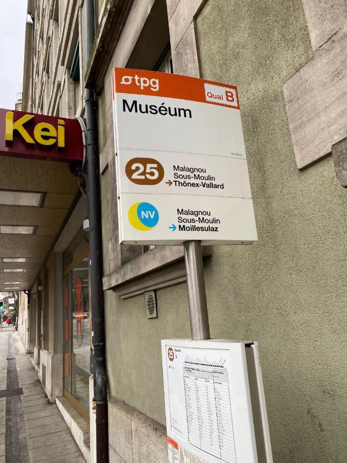 Geneve, Plein Centre,Belle Vue Lac, Splendide Et Grand Appartement 외부 사진