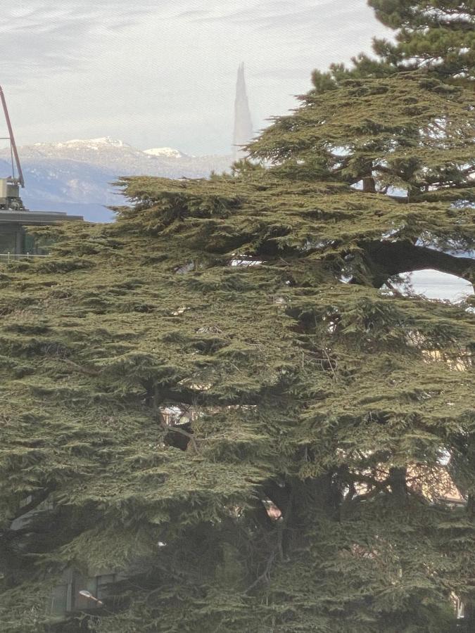 Geneve, Plein Centre,Belle Vue Lac, Splendide Et Grand Appartement 외부 사진